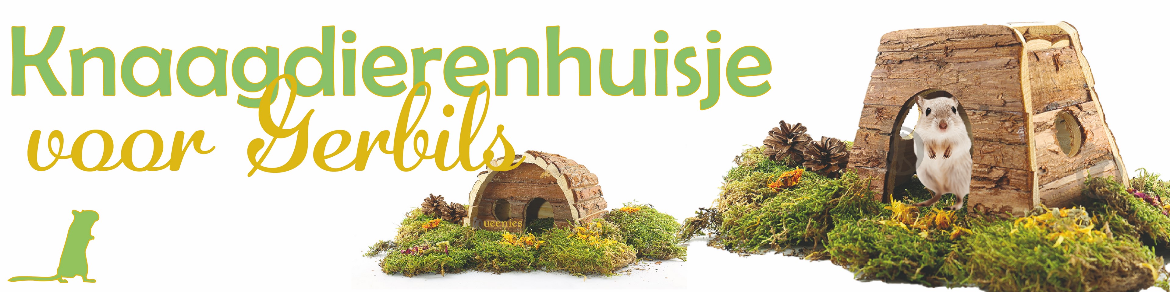 Knaagdierenhuis Gerbil